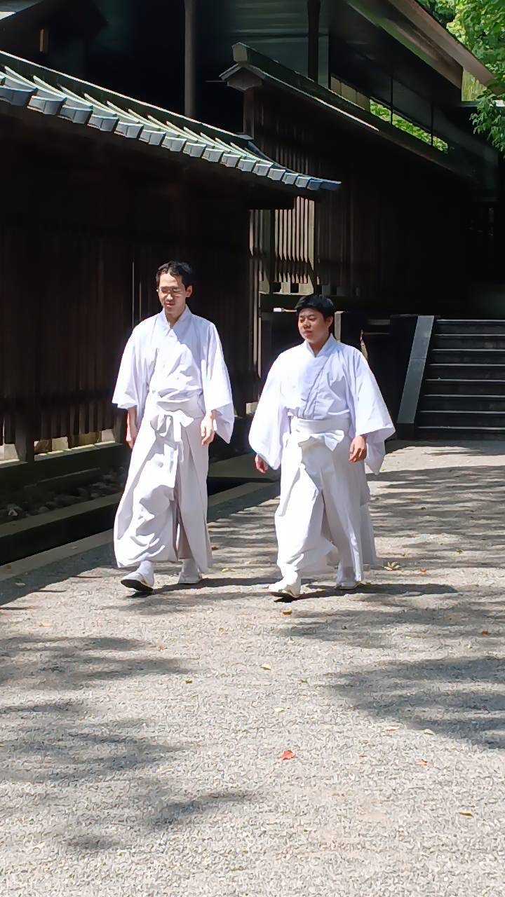 IMAGE - 6471