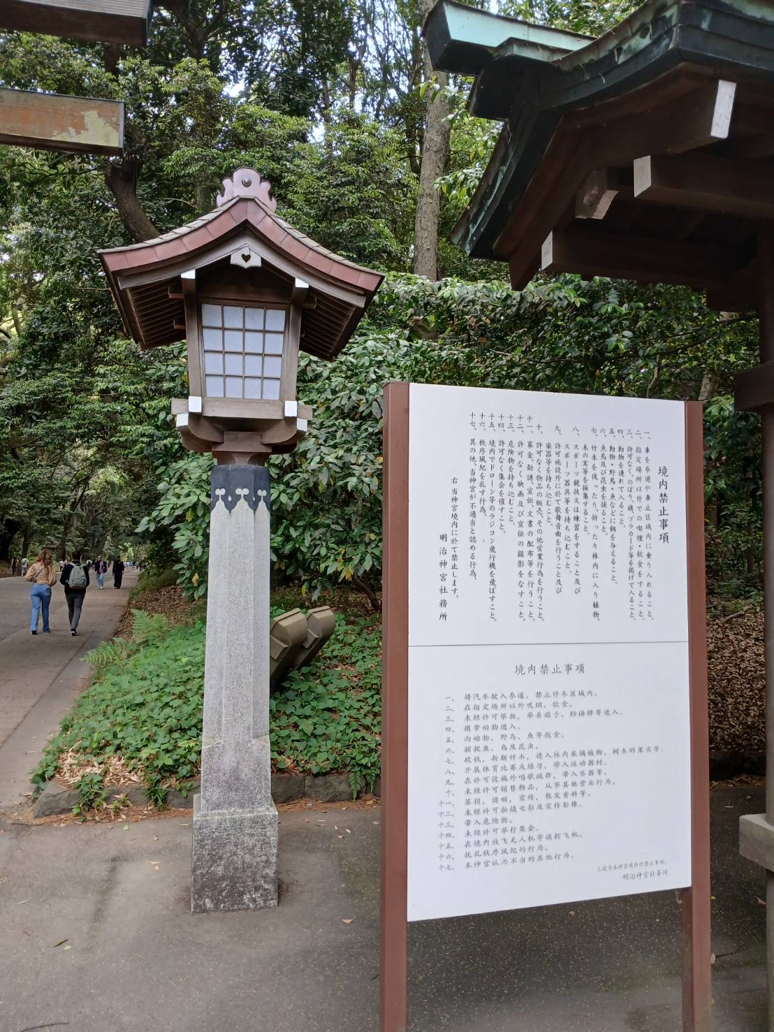 IMAGE - 6479