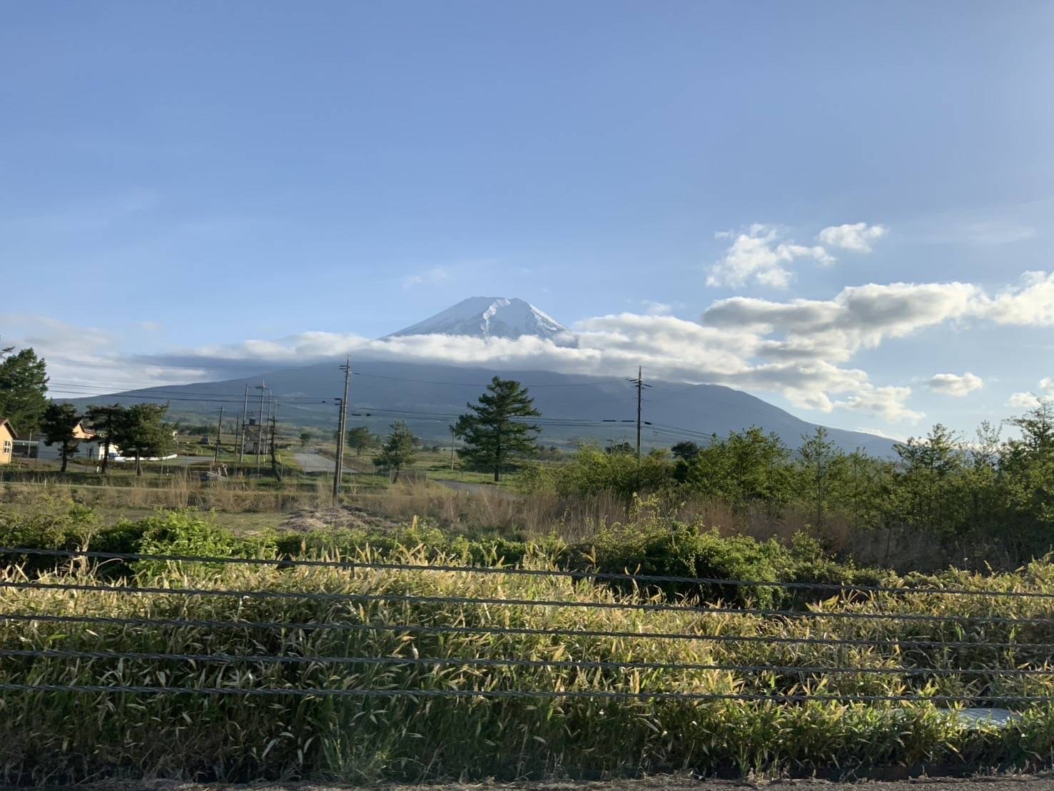 IMAGE - 6641