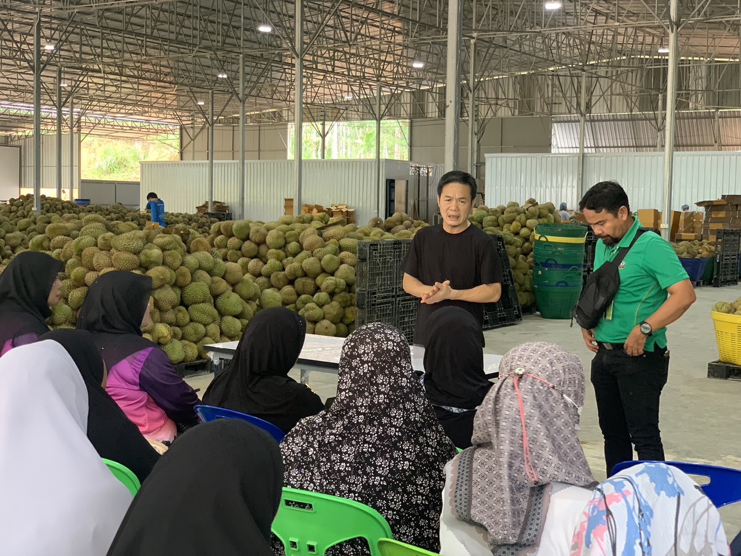 IMAGE - 6992