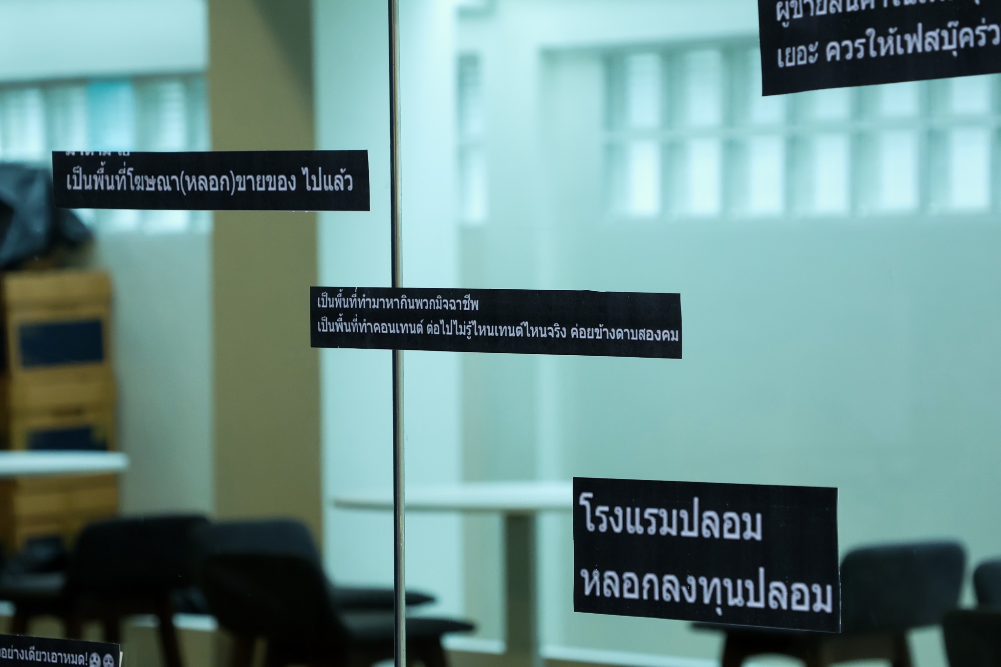 IMAGE - 7273
