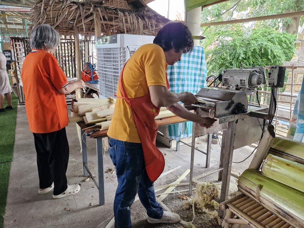 IMAGE - 8010