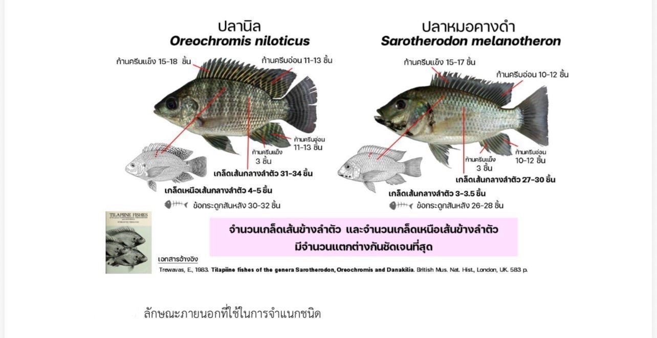 IMAGE - 8792