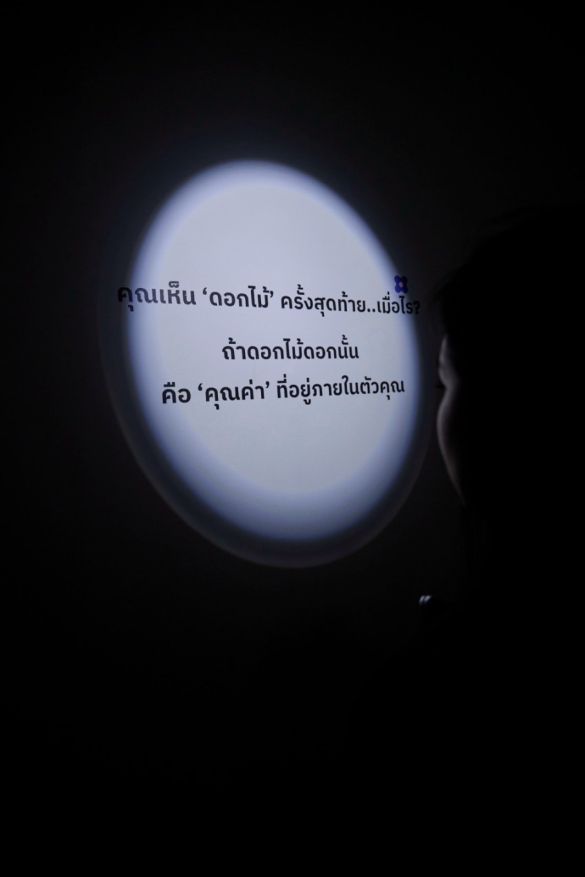 IMAGE - 10311