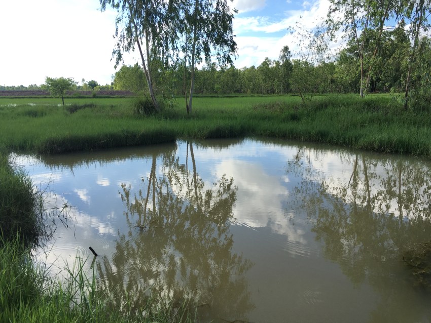 IMAGE - 10514