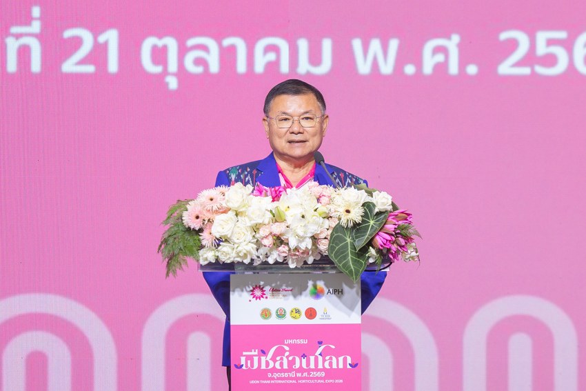 IMAGE - 11829